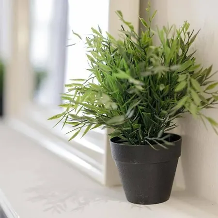 Golden - Old Town - Great Location &uniwersytecka Breslavia